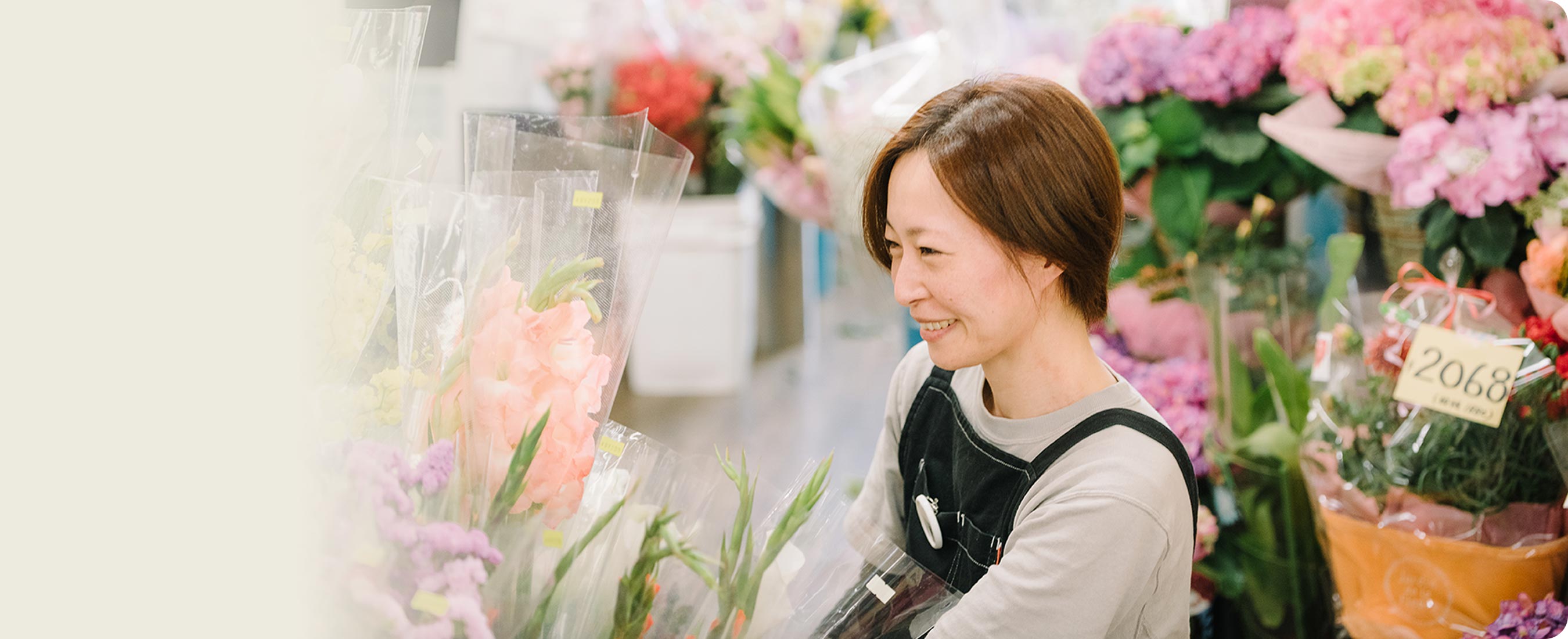 楽天市場 お花屋さんがお届け 観葉植物 インテリア グリーン 鉢植え おしゃれ ギフト プレゼント お祝い 開店 花キューピットの観葉植物 おまかせ Ddg00 Kanyou15 インターネット花キューピット インターネット花キューピットお花屋さんがお届け 観葉植物